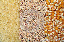 Rice Research Station Ambalanthota