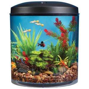 Colombo Tropical Fish (Pvt) Ltd