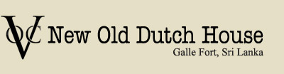 New Old Dutch house