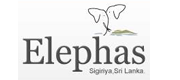 Elephas Resort