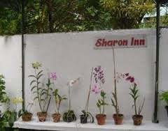 Sharon Inn Hotel