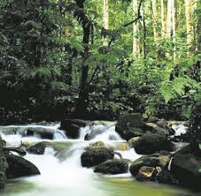 LABUGAMA KALATUWAWA FOREST RESERVE