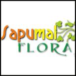 Sapumal flora & Rajagedara Abarana