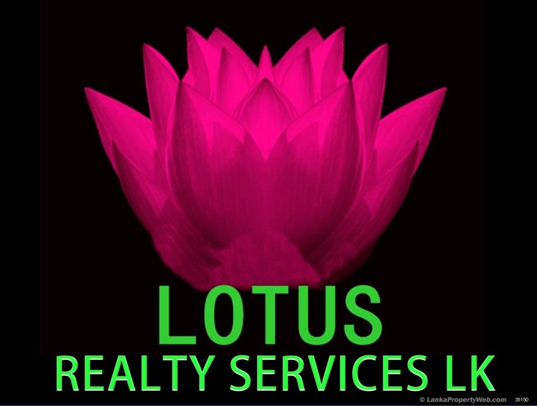 Lotus Realty Services