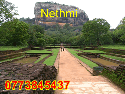 Nethmi Property
