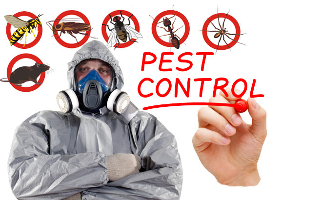 A & B Pest Control Services