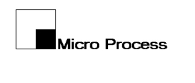Micro Process