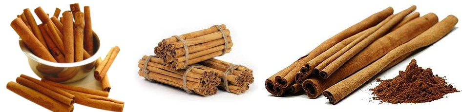 Ceylon Cinnamon Export (Pvt) Ltd