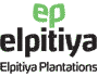 Elpitiya Plantations PLC