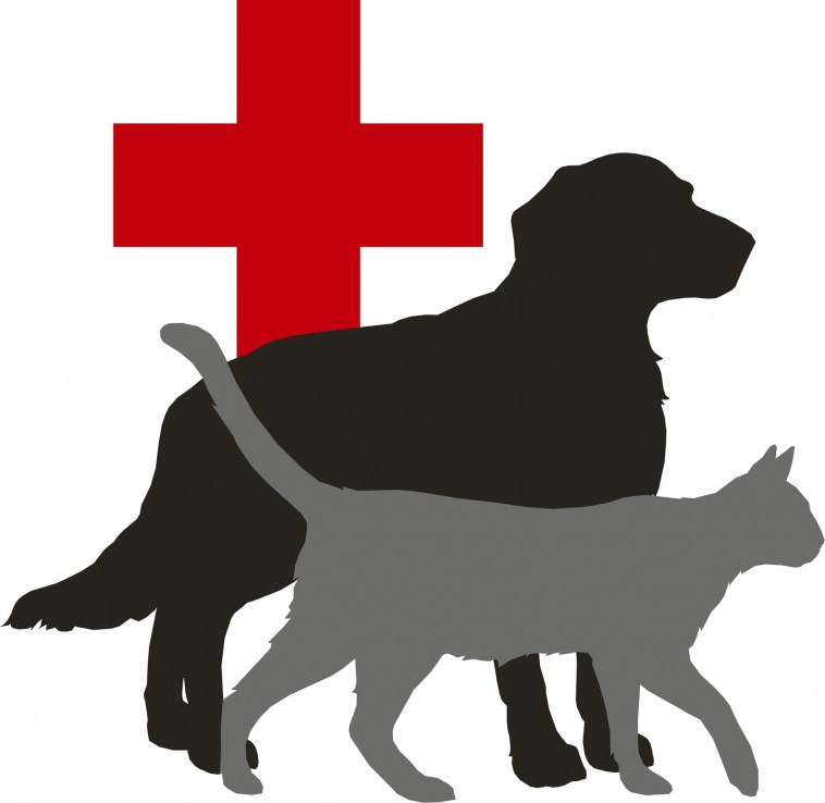 Mobile veterinary services