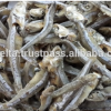 Sun DRIED ANCHOVY Fish