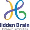Hidden Brains Infotech LLC