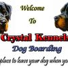 Crystal Kennels Dog Boarding