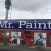Mr. Paint