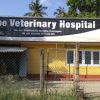 The Veterinary Hospital Kurunagala (TVH)