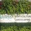 Hayleys Horticulture and Landscaping Division
