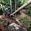 Deiya Tree Cutting Service