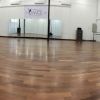 The Dance Lab (TDL)