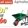 Lakwa Agriculture Company Pvt Ltd