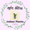 Indoor Plants (ThuruNiwasa)