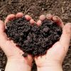 Compost,Coir Dust,Organic Fertilizer Fount