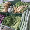 Jaffna Fresh Vegetables and Fruits Mart