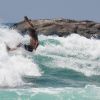 Surfing - Closenberg Surf Point