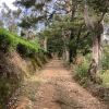 The Pekoe Trail Stage 22: Kandapola to Pedro Nuwara Eliya