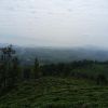 The Pekoe Trail Stage 12: Udaweriya To Haputale