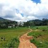 The Pekoe Trail Stage 09: Bogawantalawa To Dayagama