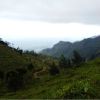 The Pekoe Trail Stage 11: Horton Plains To Udaweriya