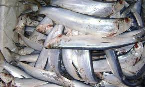 Ceylon Fish Exporters (Pvt) Ltd