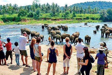 SL Tourist arrivals in first seven months of 2023 surpass 2022 arrivals