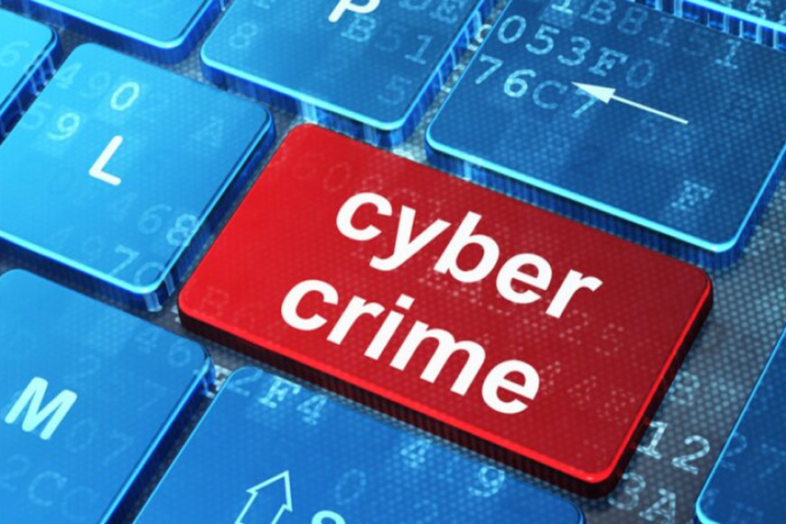 Sri Lanka a soft target for cybercrimes