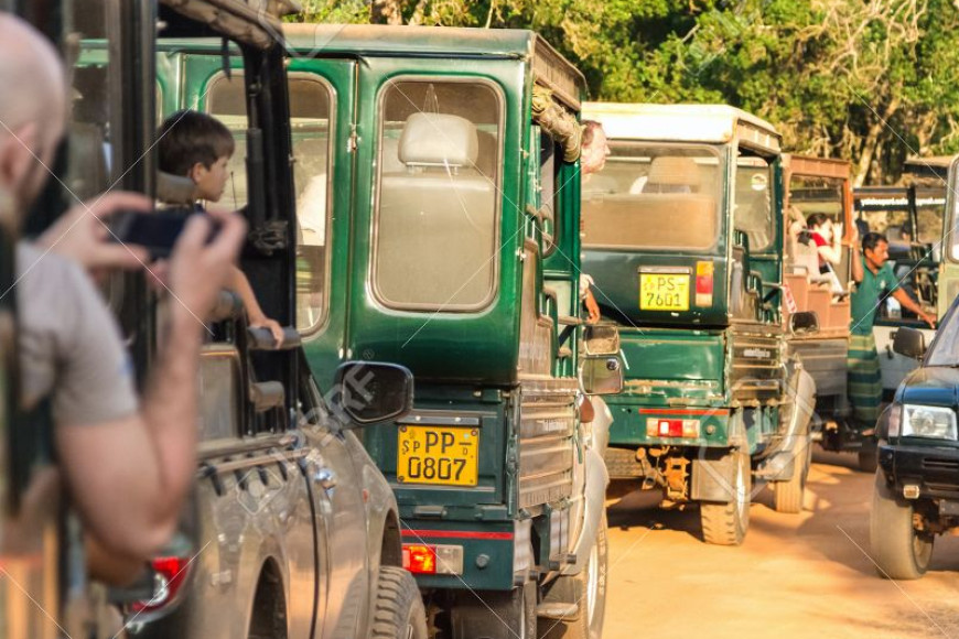 Only certified, trained safari jeep drivers allowed into Yala National Park