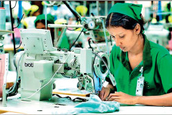 Apparel exports spike in August; turn YTD positive