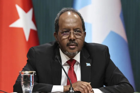 Turkey issues arrest warrant for Somali president&#039;s son over fatal traffic crash