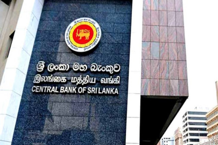 Sri Lanka foreign exchange reserves deplete signaling dollar crisis