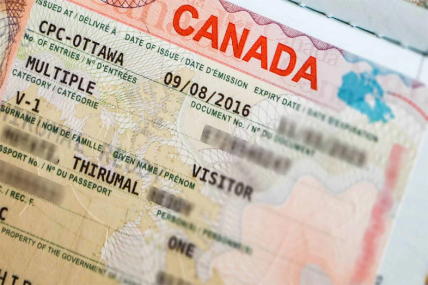 Immigration thwarts another attempt by man to leave for Canada on forged visa