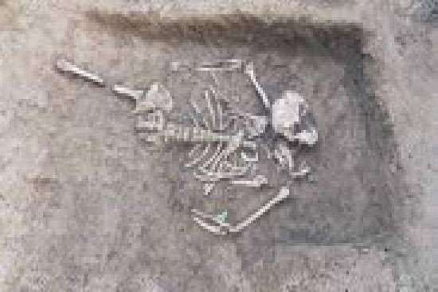 Skeletal remains in a possible mass grave found in Kokkutuduwai