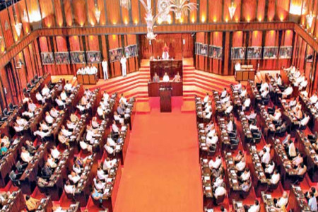 Parliament grapples with overlapping Committee functions