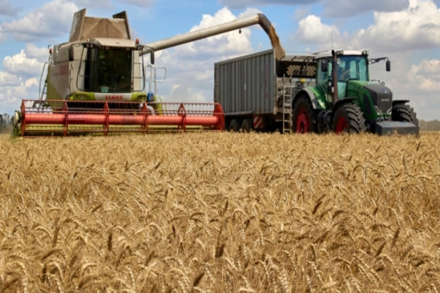Poland Hungary ban Ukraine grain to protect local farms
