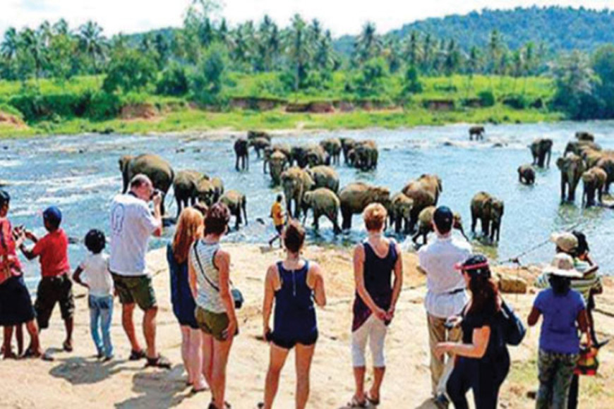 Sri Lanka’s tourist arrivals reach 210,000 in December