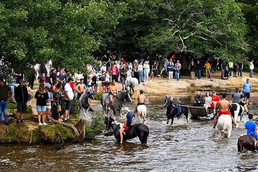 Britain’s biggest horse drive event