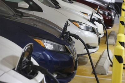 Two importers bring down 66% of e-vehicles using migrant workers permits