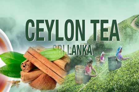 Ceylon tea and cinnamon prices comes down sharply