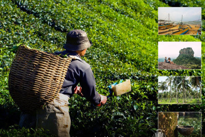 Sri Lanka's Fiscal, Repatriation Rules Improve Amid Economic Growth