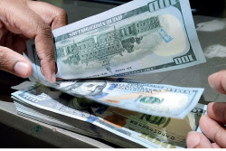 Financial Sector Support Fund to boost foreign reserves