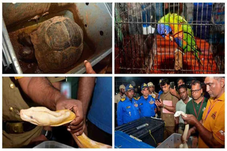 Sri Lanka Navy cracks down on bird and reptile dmuggling racket