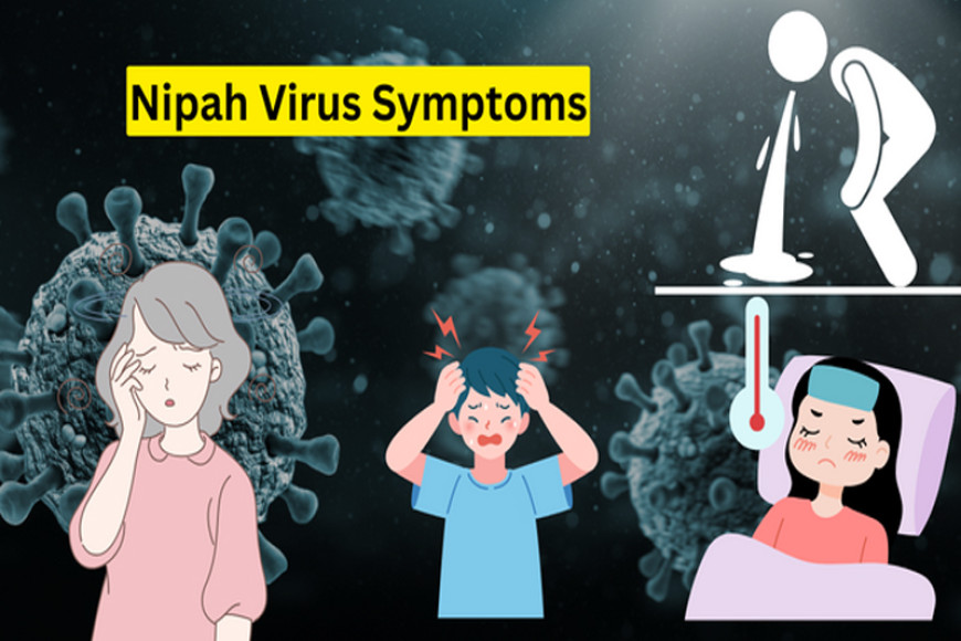 Take immediate steps to prevent Nipah virus entering country: Amaraweera advises DAPH